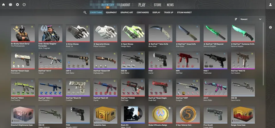 Counter-Strike 2 inventory view showing weapons, knives and gloves