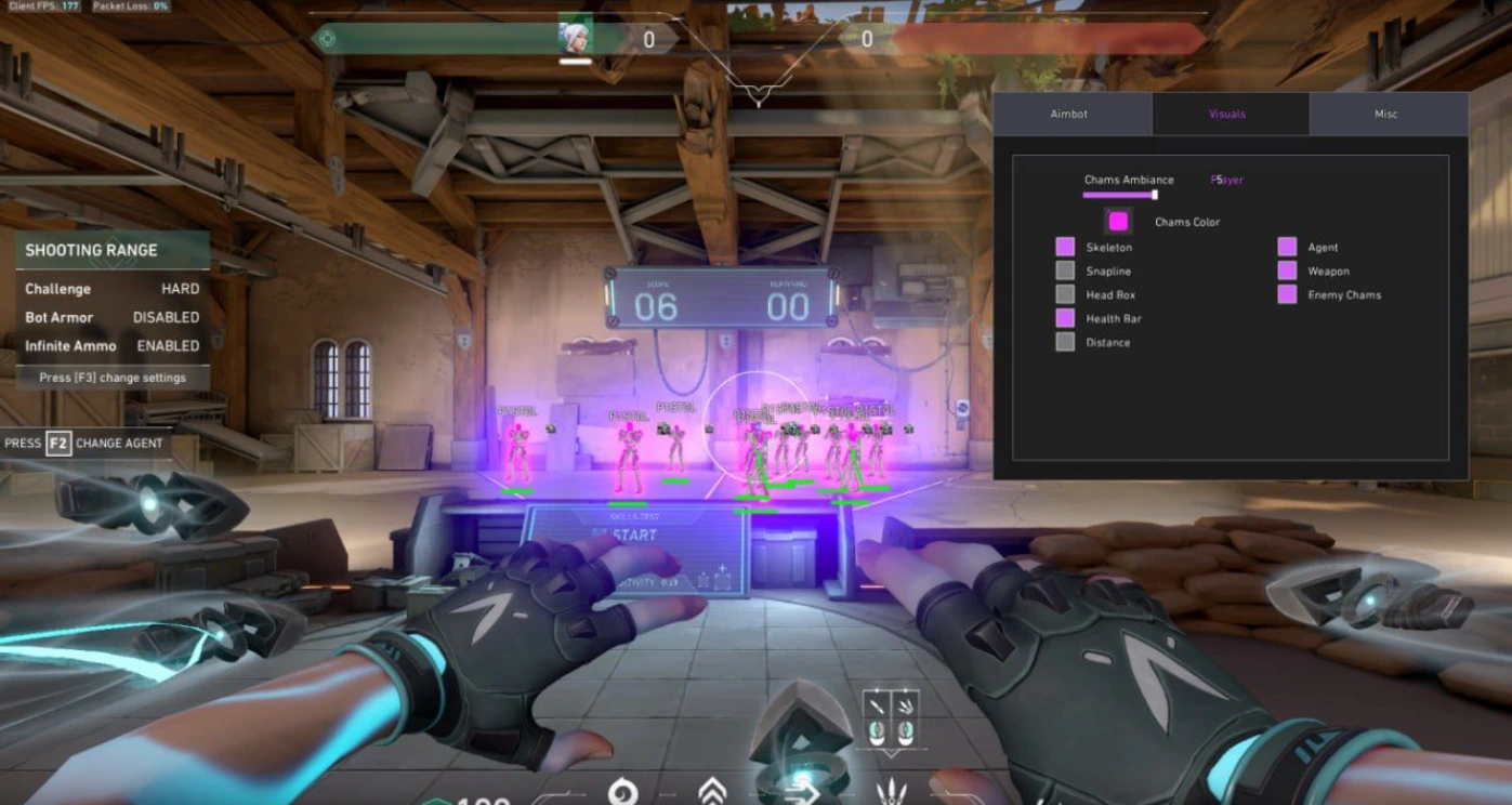 VALORANT first-person view in the shooting range with player highlights and the Visuals menu open