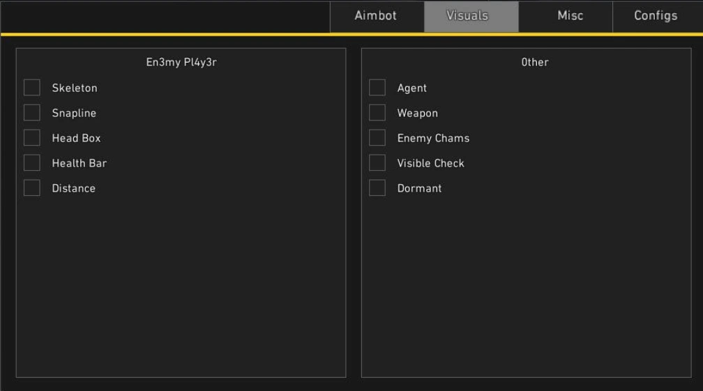 VALORANT Visuals settings with skeleton, snapline, health bar and distance options